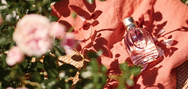 Rose Collection